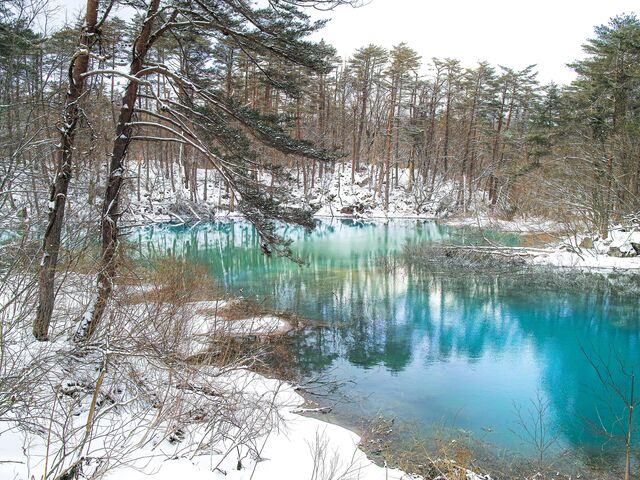 ����ʒu�ɂ���Ă��F���ς��܂�_���������å���֒�J�k�[&�X�m�[�V���[�̌� �i�`�������r�Y �A�N�e�B�r�e�B�X�e�[�V����