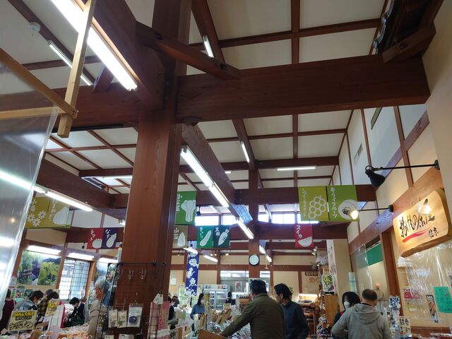 ̓̉w@TsR̓eʐ^9