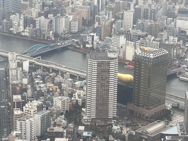 �A�T�q�r�[���{�Ѓr��_�A�T�q�r�[���{�Ѓr��