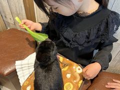 �䂩�肳���MOFiiNA�ւ̓��e�ʐ^2