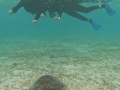 ݂䂤񂳂̃I[X[Vm[P{Óւ̓eʐ^1