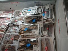 ̓̉w@TsRւ̓eʐ^8