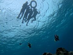 Tapõ}Nu Gigiւ̓eʐ^1