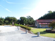 �L������̐���n���U�P���R�ق̓��e�ʐ^2