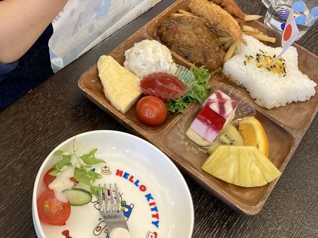 ���q�l�����`_�K�[�f���z�e�����_�t�����R