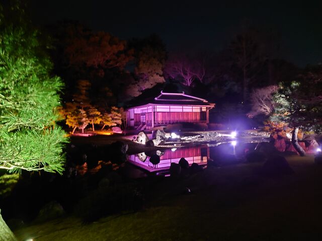 Ȃ݂NAKED meets  ό̓eʐ^1