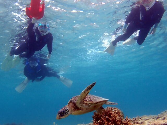 ��܂����I_�}�������B���b�W����