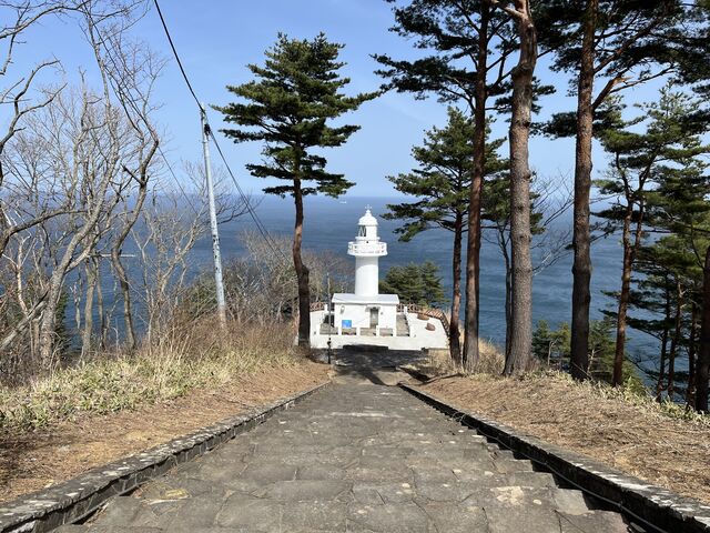 �W�]��͒��ԏꂩ�炷�������A�������蓔��͌��\����_����W�]��