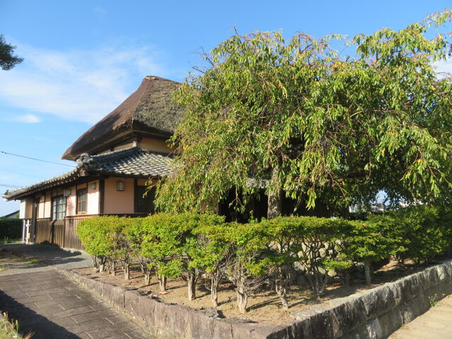 ���j�����ދn�̑�
�����̖���_���j�����ދn�̑�