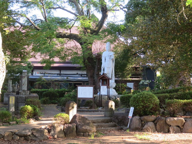 ���j�����ދn�̑�
�ω���_���j�����ދn�̑�