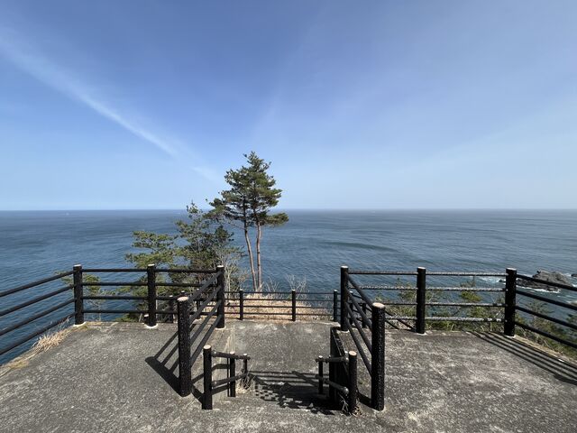 ��������K�i�̐���ґ��Ԃ̂��J��_�A�����Y�W�]��