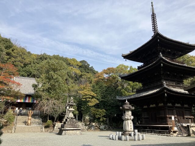 harusu̐Ύ莛̓eʐ^1