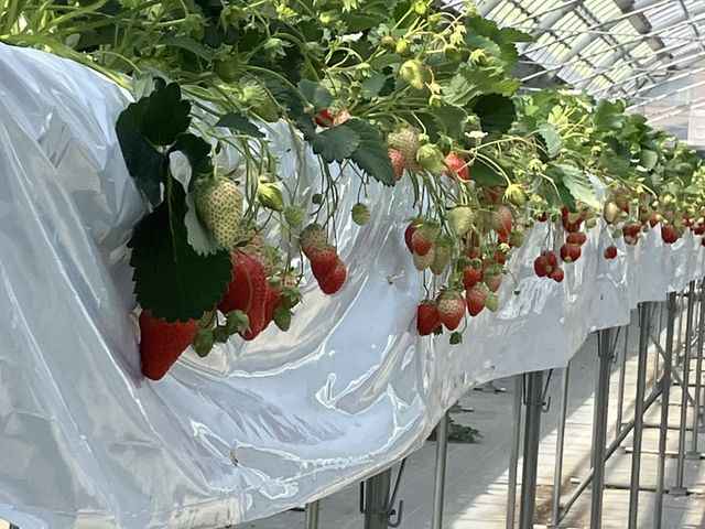 ������������Ă܂�_���ڂ�������