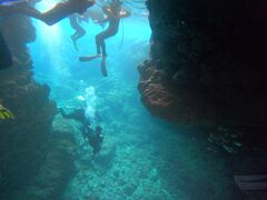 Ȃ̐̓A@Dive@ւ̓eʐ^1