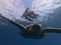 AzureTomorlւ̓eʐ^1