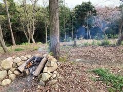 ܁[Ƃ炢Ӕ_@KITSUKI@̎ʐ^1