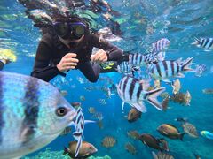 [񂳂̃}Nu Gigiւ̓eʐ^1