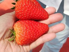 ɂ񂱂̃AOX^[XyVւ̓eʐ^1