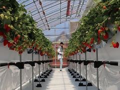 ɂ񂱂̃AOX^[XyVւ̓eʐ^2