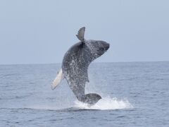 S񂳂NEWSߔeXւ̓eʐ^1