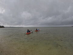 Ȃ̃\[htBbVւ̓eʐ^1