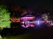 �Ȃ��݂����NAKED meets ����� �ό��̓��e�ʐ^1