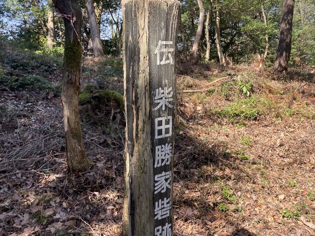 �őO���̎ēc���Ɛw�n�B�������͐D�c�R��ԑ����B_�Ռ�O�R