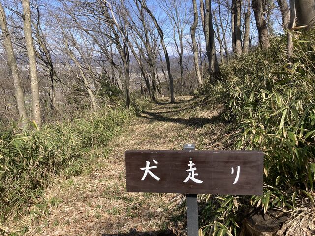 �n���̕������n���Ă���Ă��錢��_�Ռ�O�R