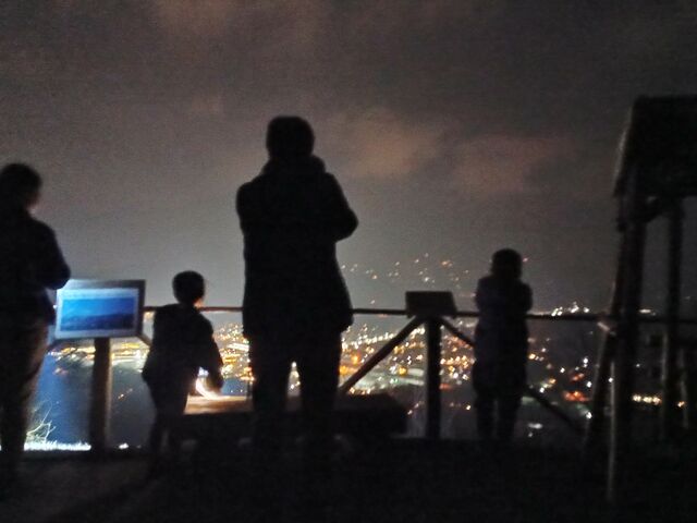 �R������̖�i_�l�C�`���[�L�b�Y�X�̉�