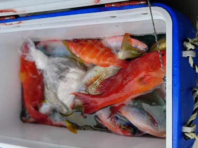 �ނꂽ��_���h����₩���@�厩�R�N���u