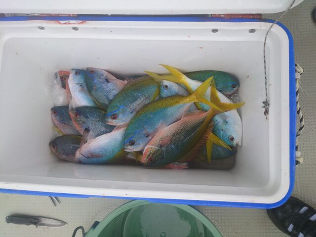 ����򂢂�������_���h����₩���@�厩�R�N���u