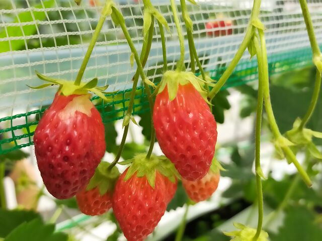 ����������������I_����ӂ�[��