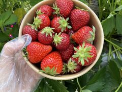 ܂݂񂳂̋oւ̓eʐ^1