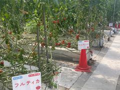 Rg̊Ё@og}g_ւ̓eʐ^1