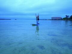 ݂񂳂̖` ꑍAEghAcA[Xւ̓eʐ^1