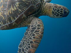 Ȃ񂳂Tomorlւ̓eʐ^1