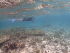 ��������񂳂�̃O���C�h�p�h���T�[�r�X�ւ̓��e�ʐ^1