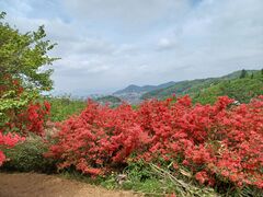 ���������̉Ԍ��R�����ւ̓��e�ʐ^1