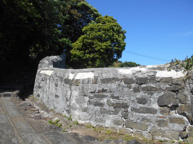 �g�V���[����̃I�����_���̓��e�ʐ^1