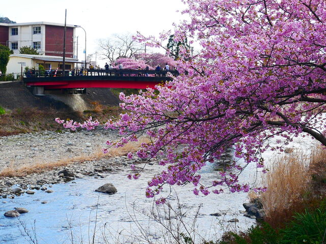 �͒Í��A�o�b�N�ɍr�q��_�͒Í��܂�