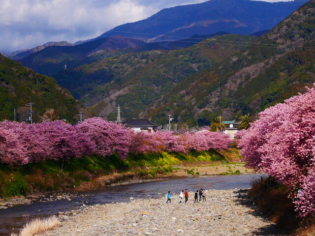 �͒Í��S�i_�͒Í��܂�