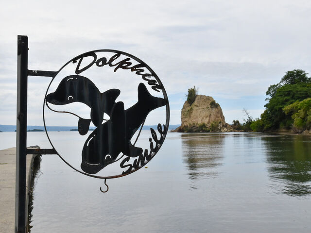 ���X�̊Ŕ��Ƃ��Ă����킢�������ł��I_�c�������������@�r��������