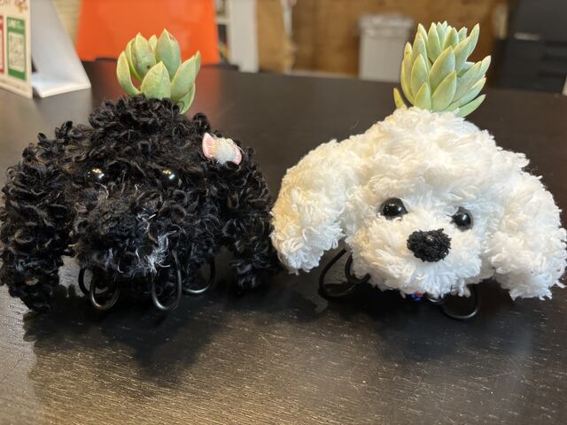 gCv[h͎pAgCv[h̓v[gp_Ƃ͉̂Y