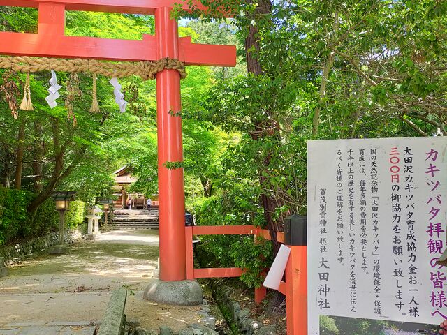 �J�L�c�o�^�ێ����͋��̗��ĊŔ�_��c�_��