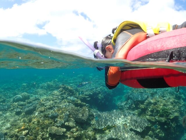 ���������������I_�}�����V���b�v����