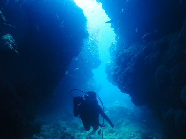 ���ʐ^�B���Ă��炢�܂����I_�_�C�r���O�V���b�v�@���[�O��