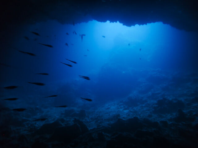 �T���S�z�[��_�_�C�r���O�V���b�v�@���[�O��