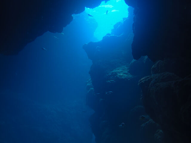 ���̓��`���l��_�_�C�r���O�V���b�v�@���[�O��