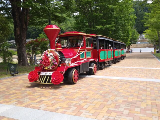 TNTN̂Ӄ[hE[YK[f̓eʐ^5