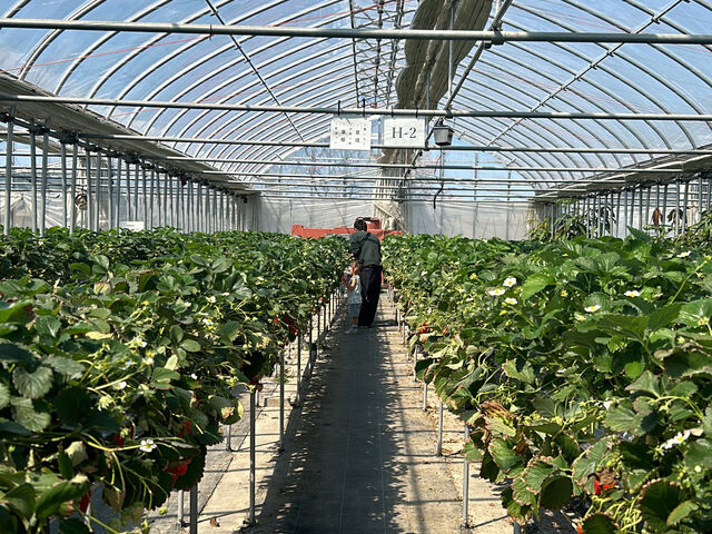 ��������A�H�ׂėǂ��͈͂��킩��₷���������Ă��܂����I_�x�ÃA�N�A�t�@�[��